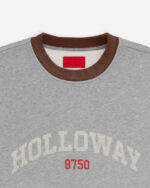 FUGAZI Alma Mater Crewneck Grey – Heavyweight view 2