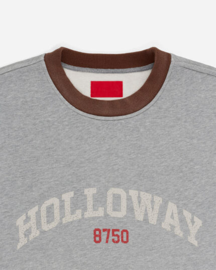 FUGAZI Alma Mater Crewneck Grey – Heavyweight view 2